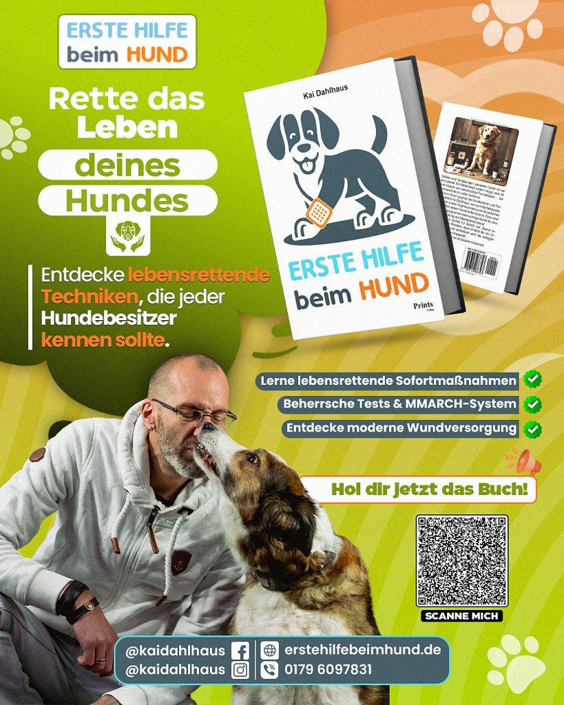 Das Buch auf Amazon von Kai Dahlhaus